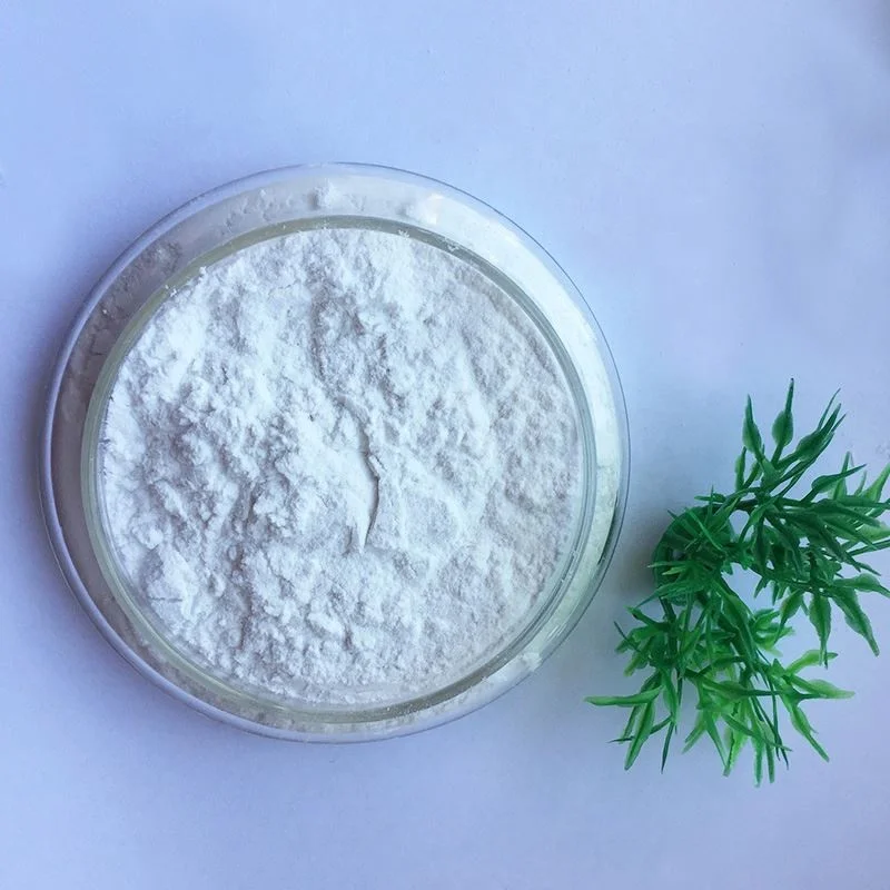 Пищевая добавка диатомит порошок