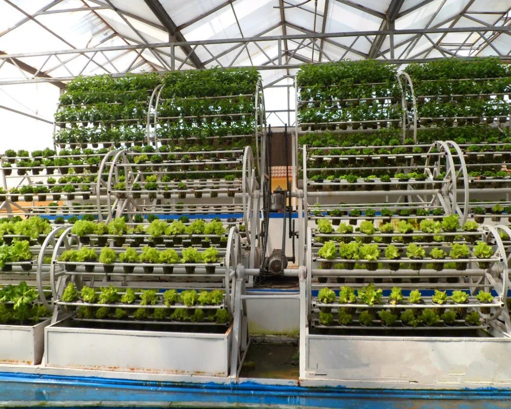 Low cost agricultural hydroponics PC Sheet greenhouse for strawberry/tomato/lettuce/cucumber growing