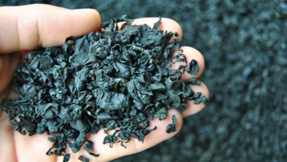 952652619_1573854961