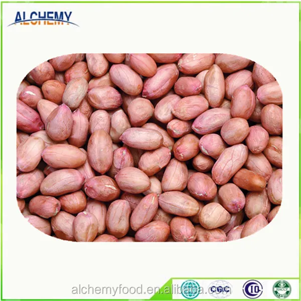 Organic pure raw peanut kernel in bulk , whole sale peanuts