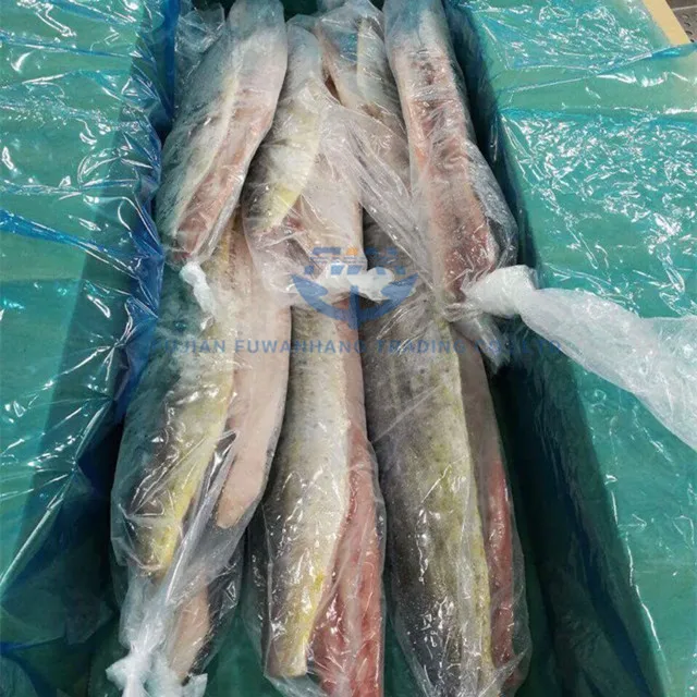 
Best quality pelagic dolphin Mahi mahi fillet for sale 