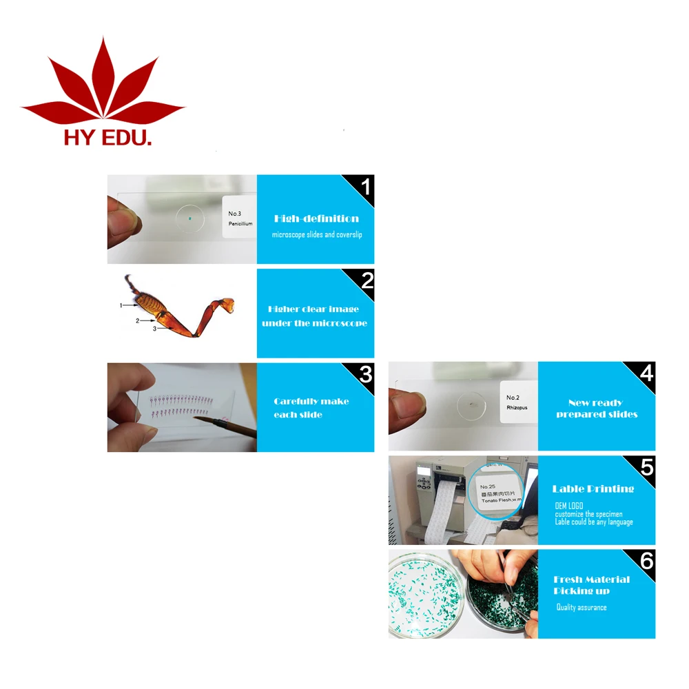 Fixed set University students study 78pieces medical parasite prepared microscope slides