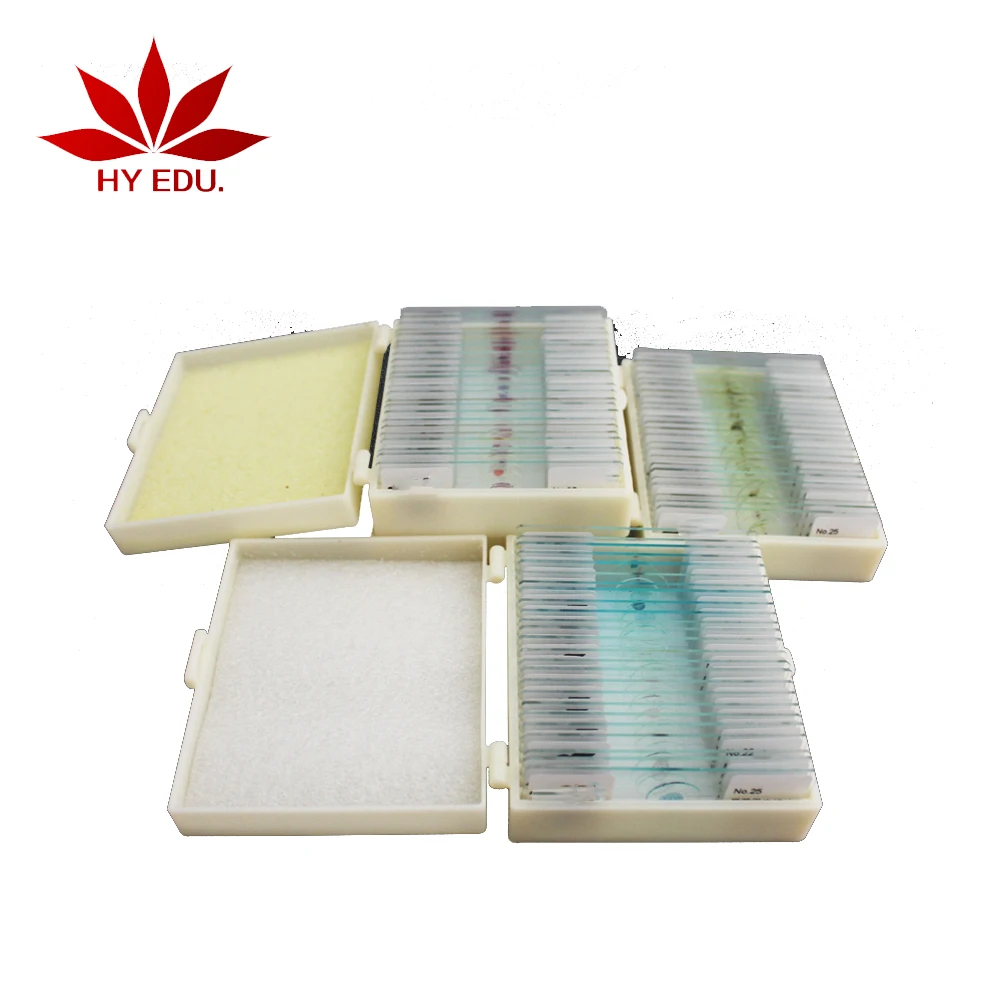 Fixed set 15 kinds aquatic freshwater life Microscope microscopy prepared slides
