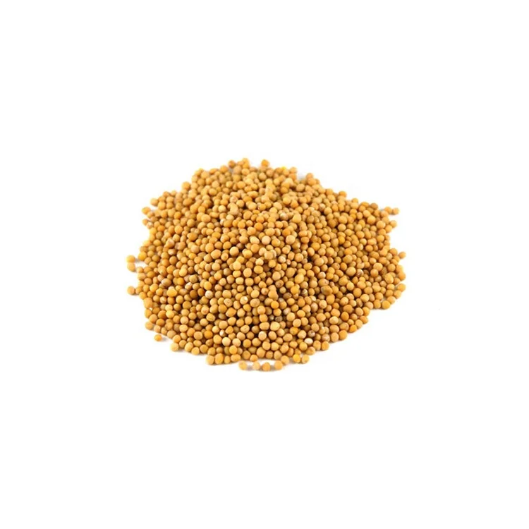 Organic Yellow Mustard Seed