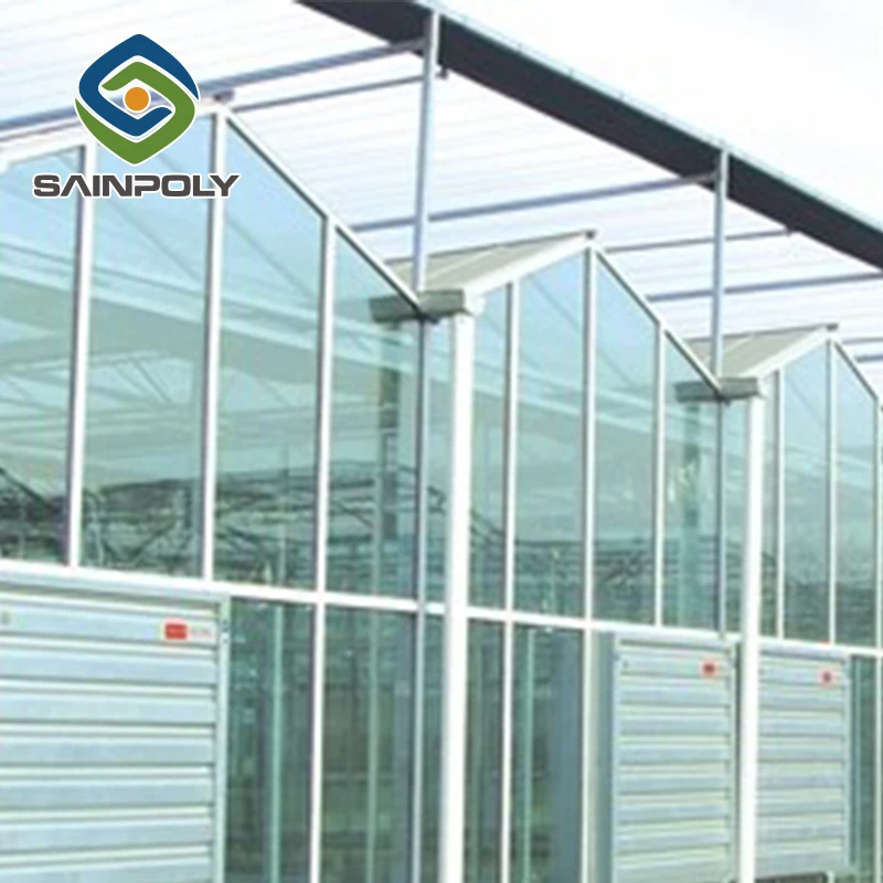 low cost agriculture glass greenhouse tent for sale