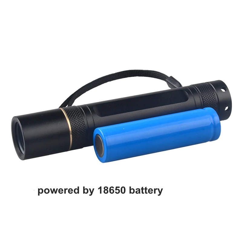 Mini UV LED Torch 365nm Black Filter Flashlight with Rechargeable Battery Aluminum Body Currency Detector IP65 Rated