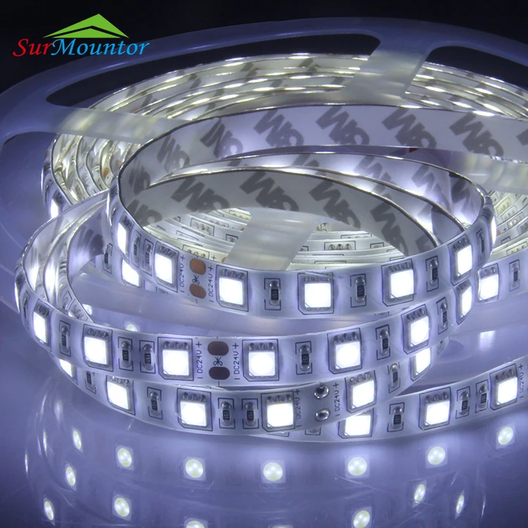 Addressable single color LED strips SMD 5050 60LED/m