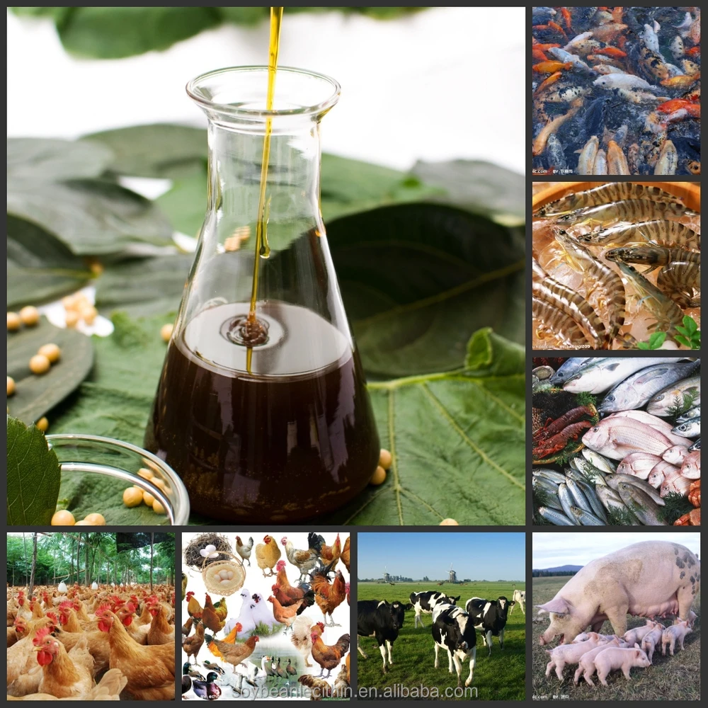 emulsifier animal feed Ingredients Additives fluid soy soya lecithin manufacturers