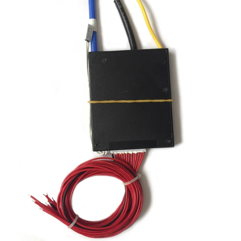 13S 48V 60A BMS For Lithium Battery Lifepo4 BMS  Separate Port