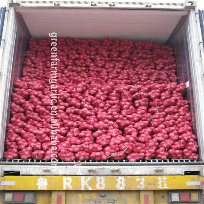 supply fresh red onion packing in 5kg/10kg/20kg mesh bag