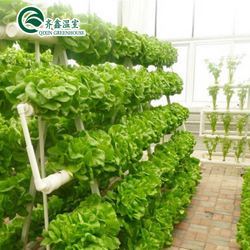 Large Vertical Hydroponic System Glass Greenhouses Agriculture