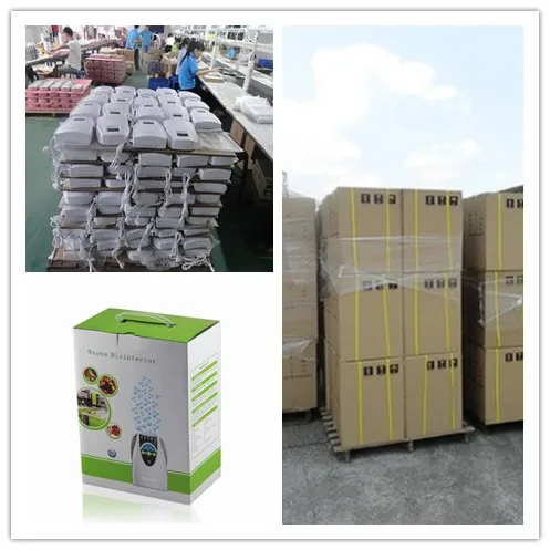 Ultra modern ozone purifier with removable adapter cable and cigarette wire O3 air stones