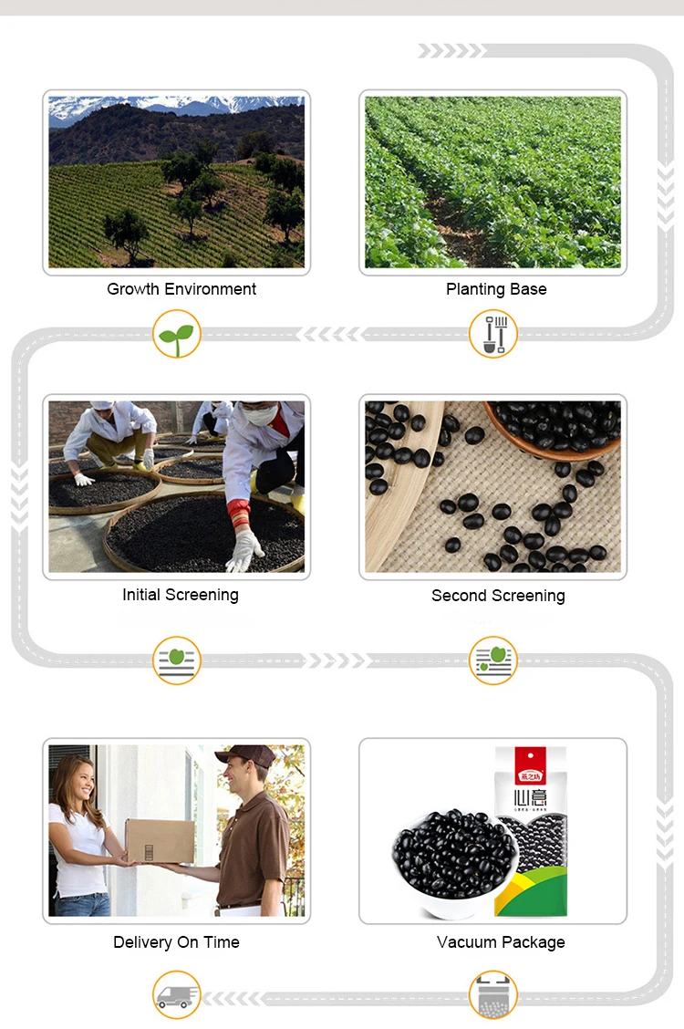 Wholesale soya beans black kidney bean soybean supplier