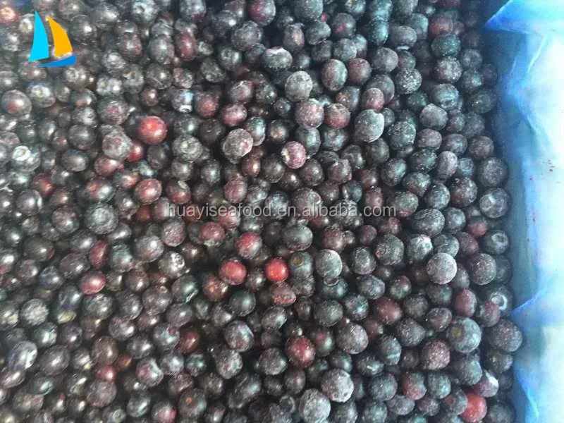 IQF Frozen Blueberry Export Price
