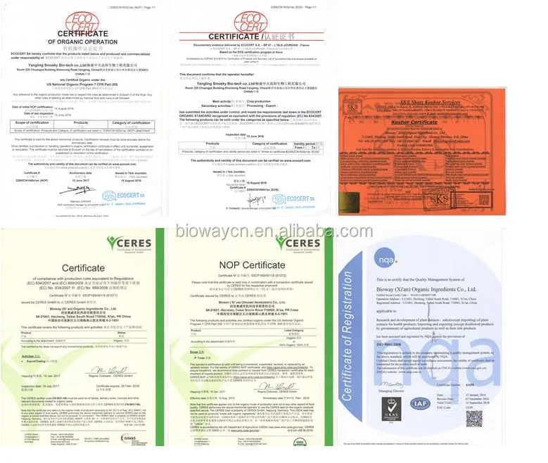 
Organic Sea Buckthorn juice powder (high Vitamin C grade, 20%) 