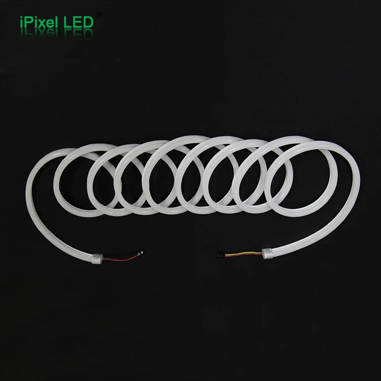 Christmas Holiday Name and sign 12/24/110/220v high Voltage led lighting rgb led neon flex