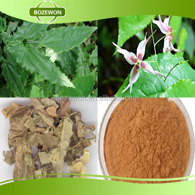 food additive epimedium extract powder with 10% 20% 60% 98%
