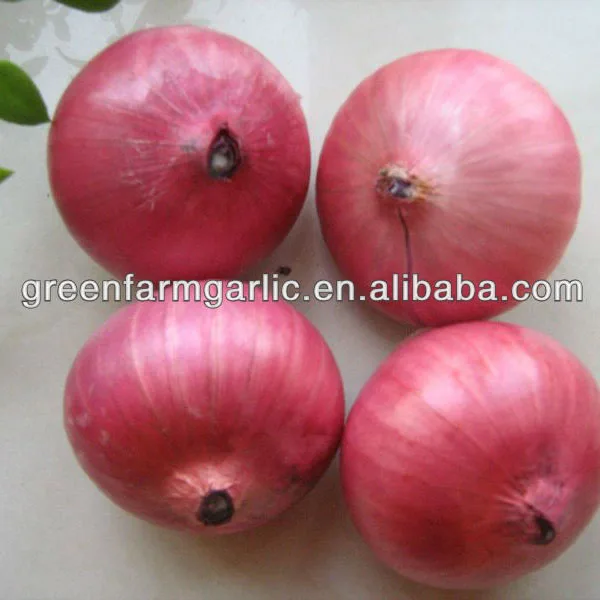 Onion Exporter Fresh Onion