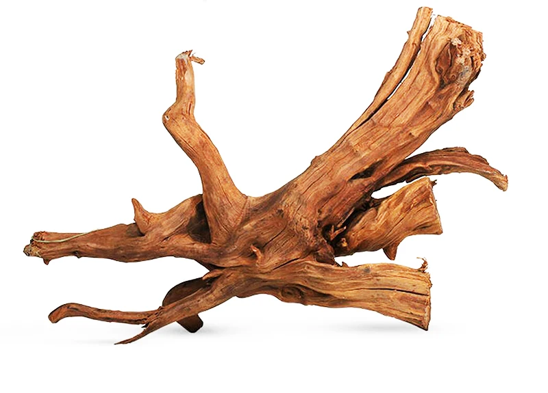 Натуральный водный аквариум NIHAO