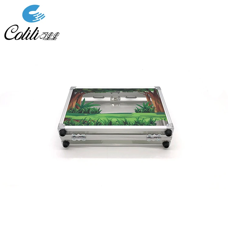 Factory custom DIY clear plastic transparent acrylic briefcase