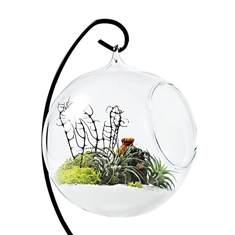 Wholesale Colored Handmade Glass Terrarium With Metal Stand