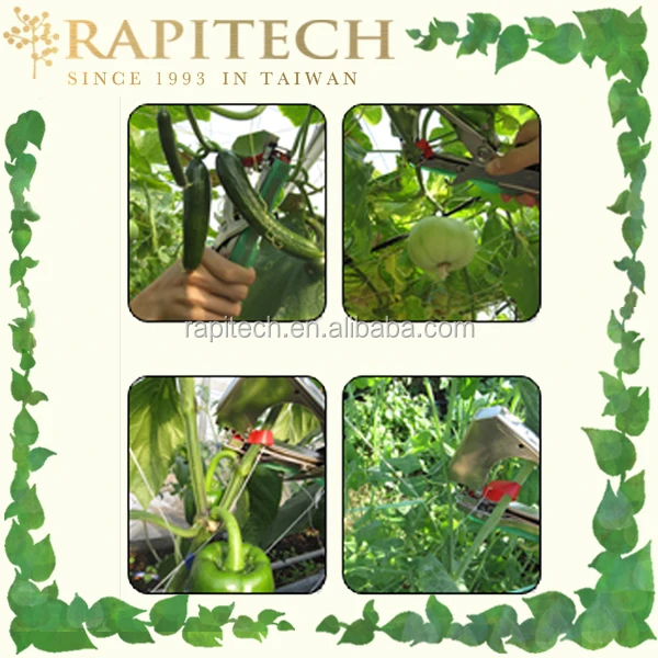 Professional Garden Tool Plant Tying Tapetool