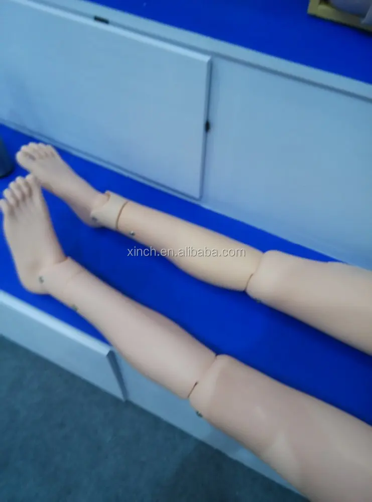 XC-401C Xincheng Scientific First Aid Manikins
