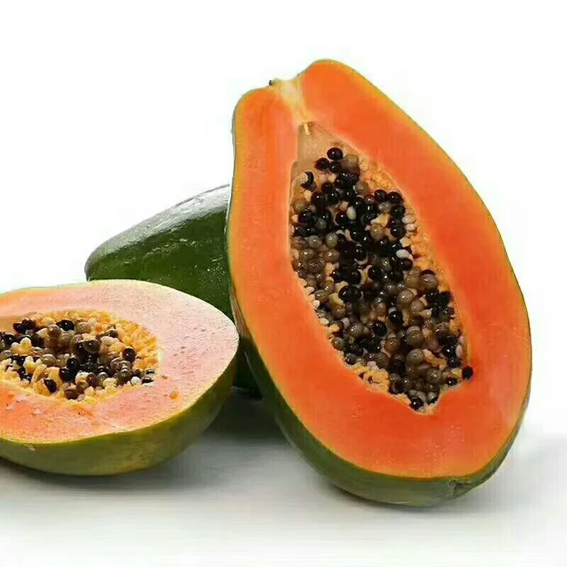 
2021 Suntoday Mu Gua Zhong Zi taiwan indian red lady papaya seeds 5gr/380seeds/bag 