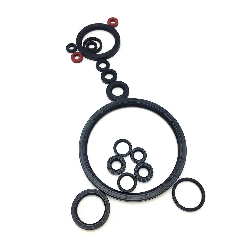 Hydraulic Cylinder Seal PTFE Carbon Filled PTFE Rod Piston Oil Spring Energized Seal