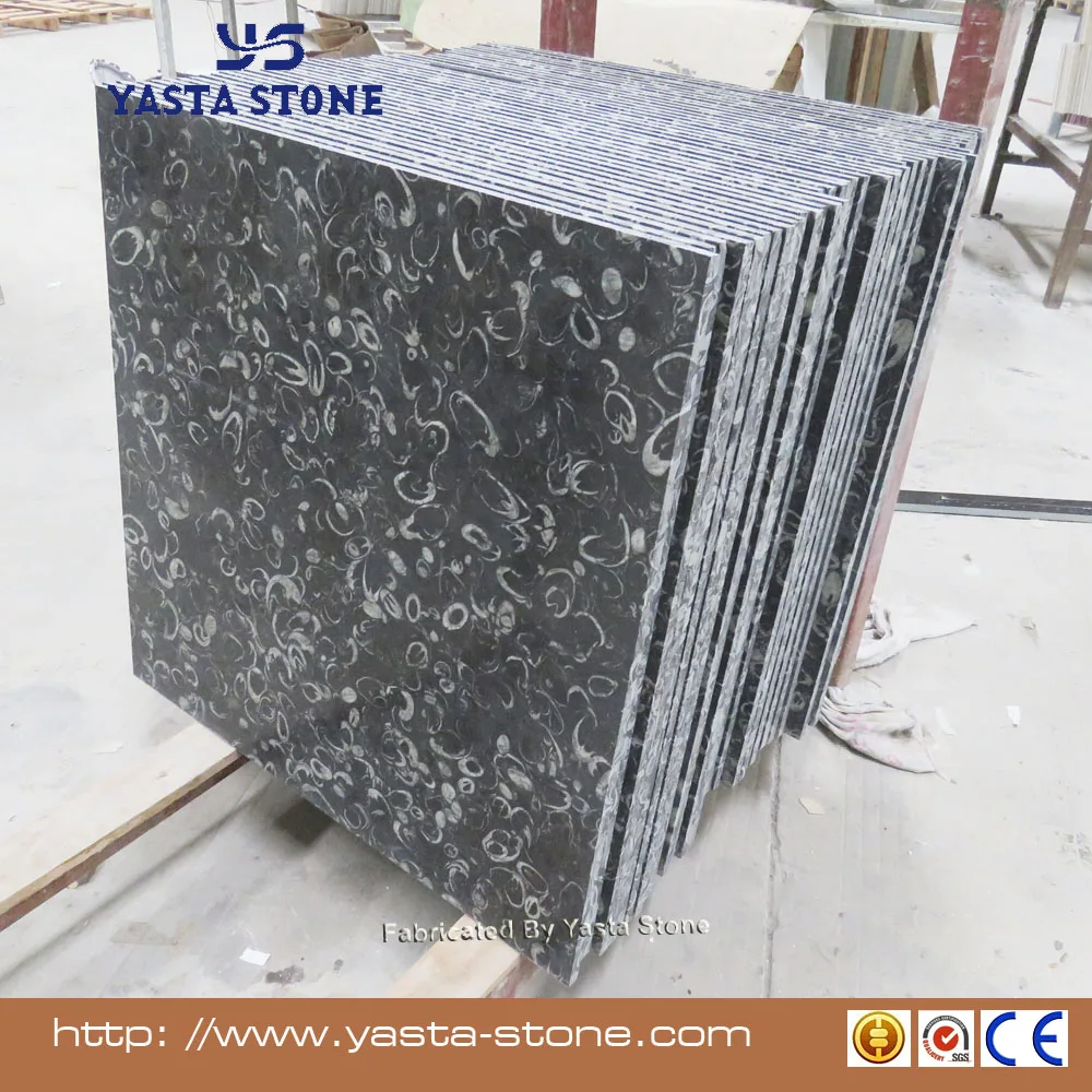 New Natural Stone Colour Black Seashell Granite Floor Tile