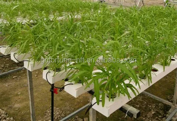 
PVC Hydroponics square tube Industrial Hydroponic greenhouse System 