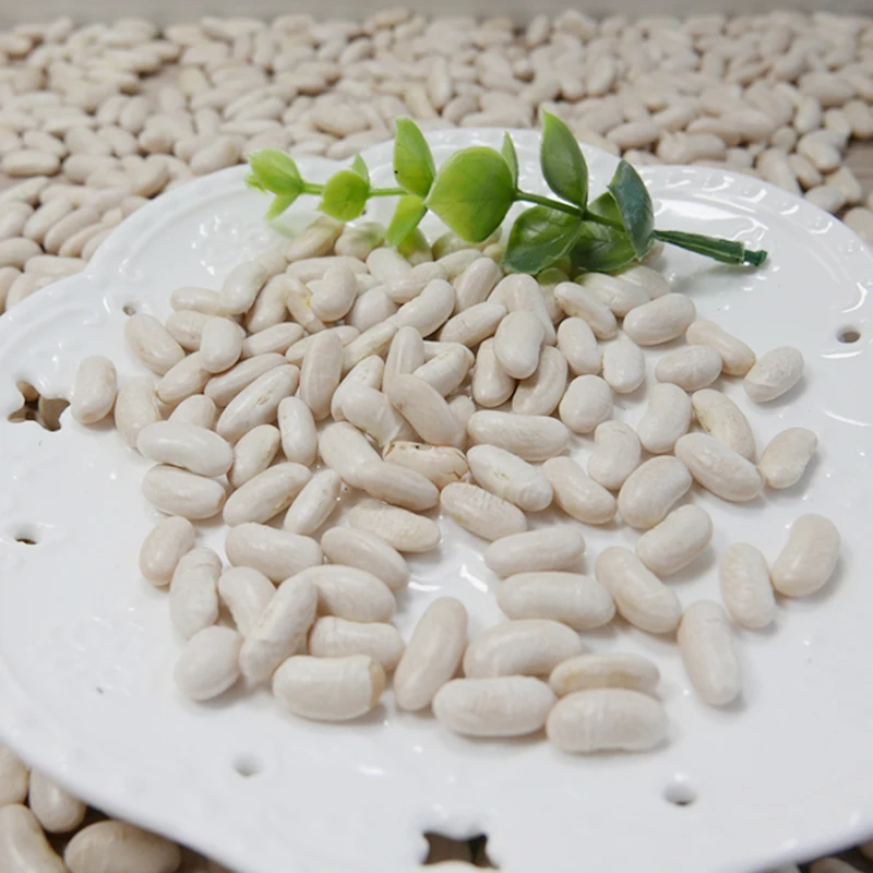 Dry Non-GMO alubia white kidney beans for sale
