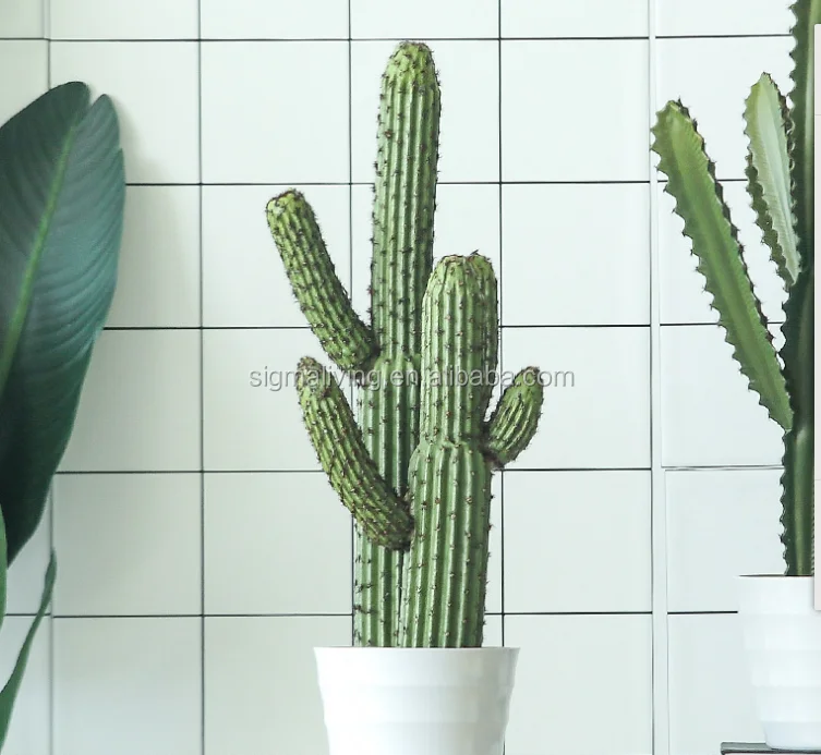 Green Artificial Cactus Succulent Plant