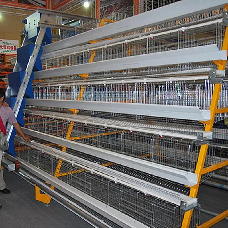 egg chicken cage system