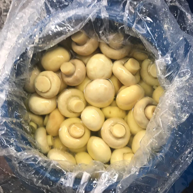 Perennial supplying Whole Champignon in SO2