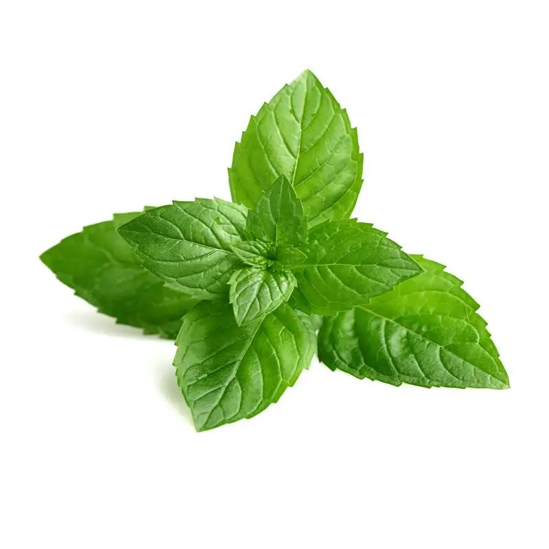 long-run supply Mint Extract