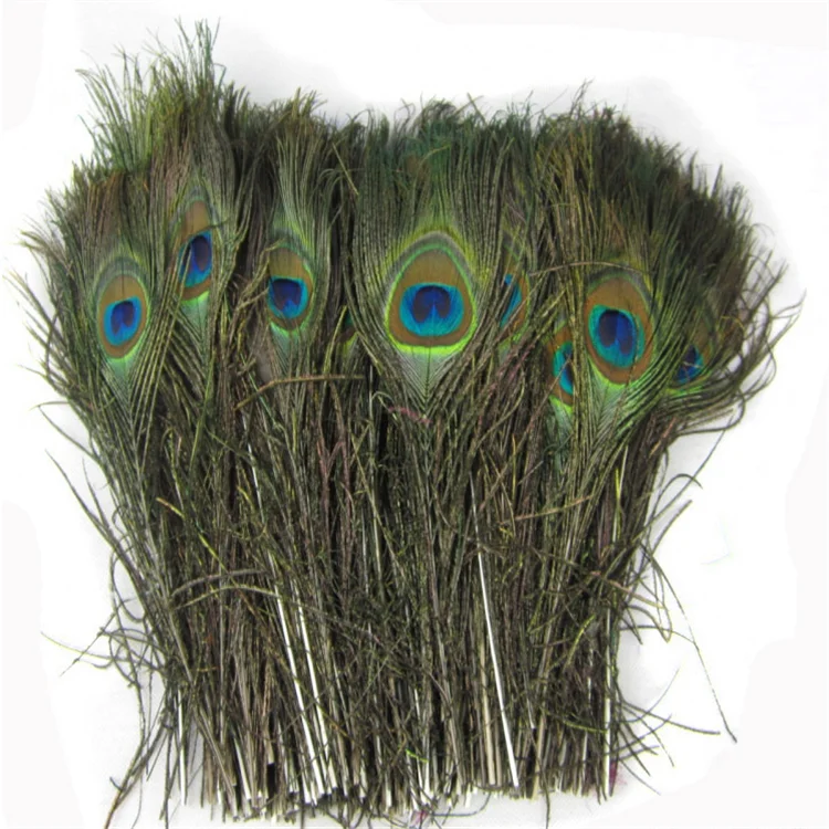 Big eyes peacock feathers Pure natural