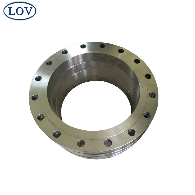 
High Quality Standard DIN Forged Flange Stainless Steel 1.4308 Flange 