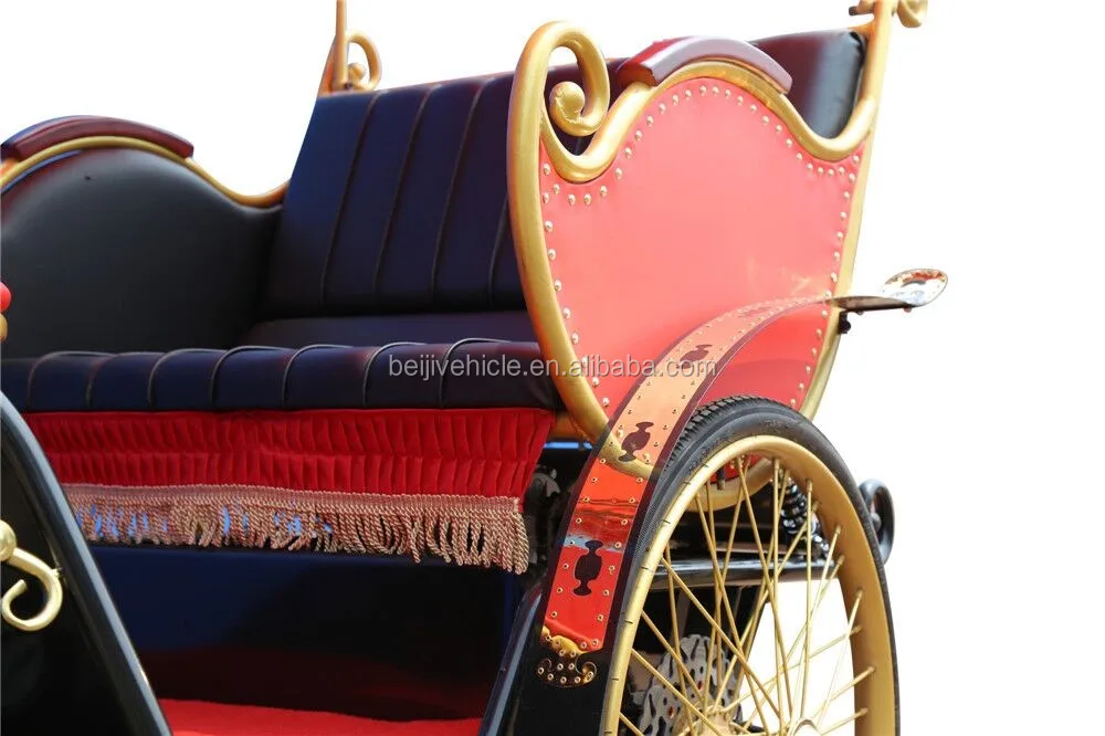 Electric Tricycle Passenger Rickshaw 500W-800W Made In China