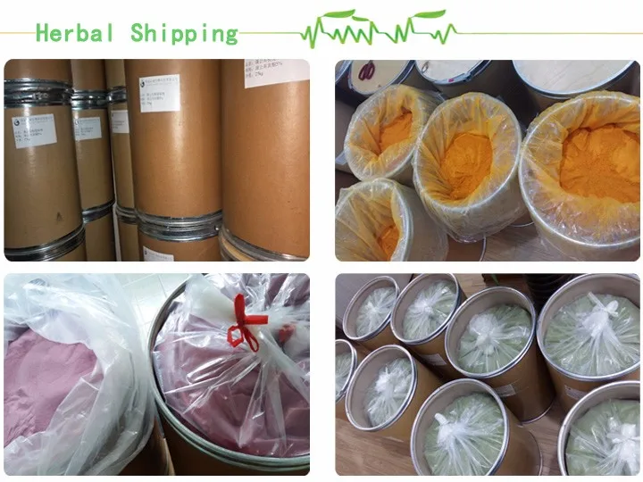 
High Quality Oyster Extract Powder Oyster Meat Powder Oyster Powder 