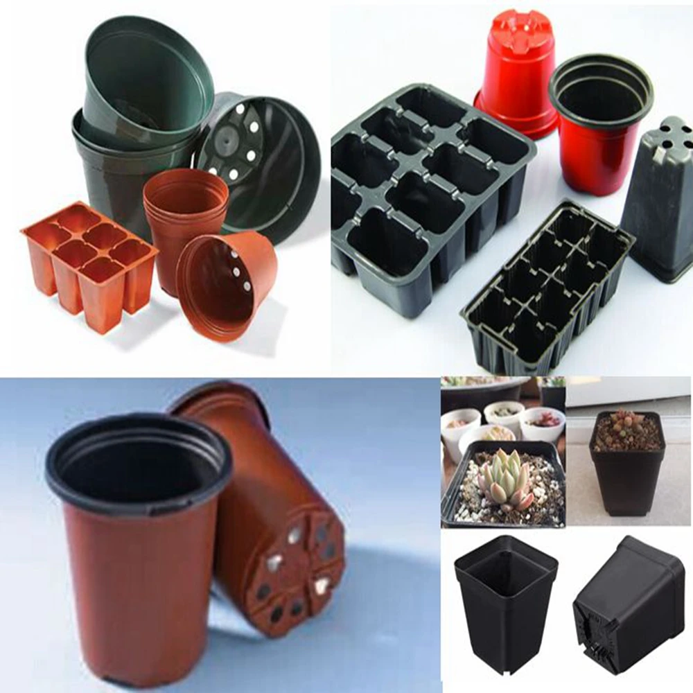 Plastic pet egg tray making machine price