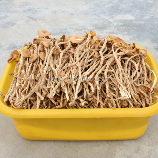 
Top quality dried agrocybe cylindracea 