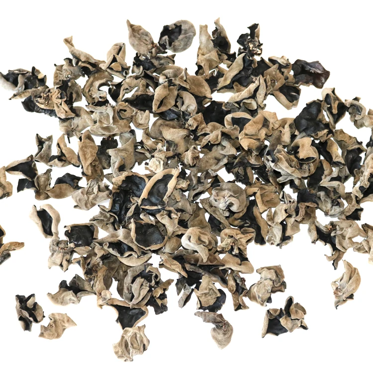 
dried polysaccharide fungus mushroom black agaric 