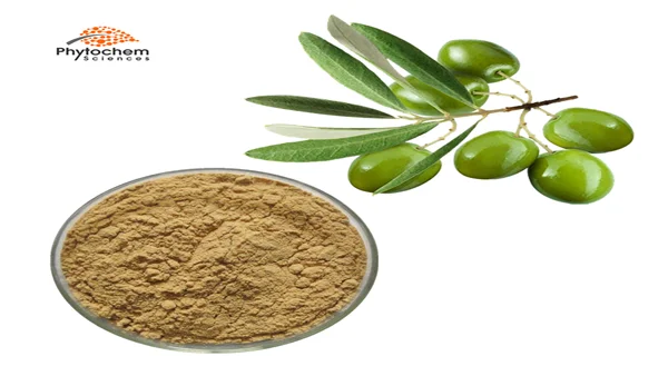 
High quality price nutrition supplement powder Olive Leaf Extract 40% Oleuropein by HPLC 