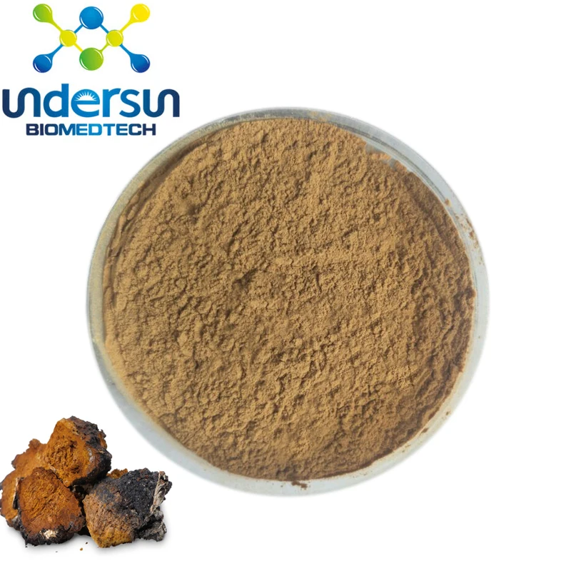 
100% Wild Natural Chaga Mushroom Powder 