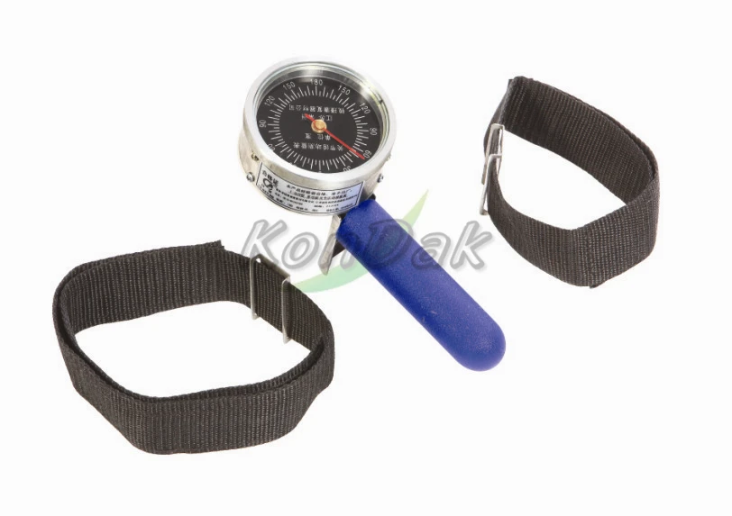 
Back-leg-chest Dynamometer medical apparatus and instruments 