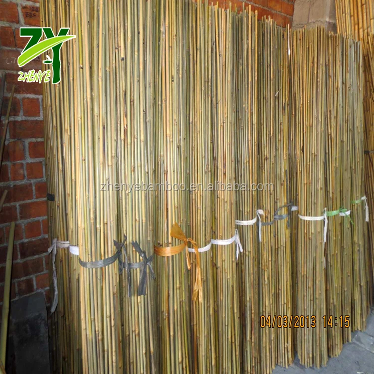 
HOT!!! ZY-1005 Bamboo Sticks Wholesale Price Bamboo Tonkin Sticks Cheap Bamboo Sticks 