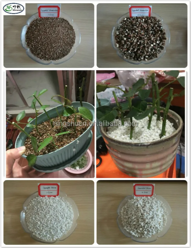 Growing Medium Expanded Perlite and Vermiculite for Orchid plant nursery