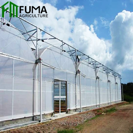 FM полная пластиковая пленка, тепличная структура для сельского хозяйства