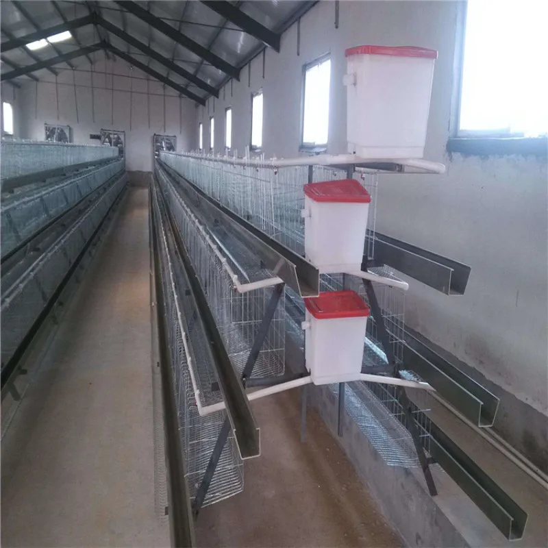 
chicken layer cage for poultry farming 